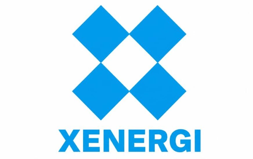 Xenergi Launches Mandatory Takeover Bid For Remaining Premier Paint Minority Shareholders