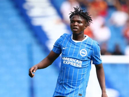Van Dijk: I Want Gakpo To Remain With Liverpool