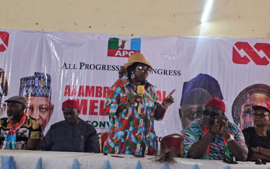 2027: APC Cannot Be Intimidated, Says Ekwunife 