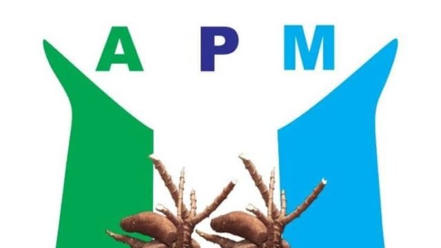 2027: Why Adeoye Is Frontline Alternative To Lead Lagos – APM Youth Leader