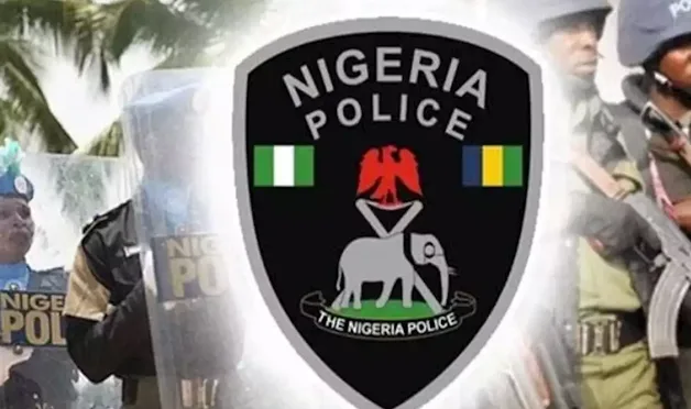 Two suspected Kano robbers in police net